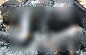 Nigeria: A Maiduguri, sept kamikazes se font exploser sans faire de victimes