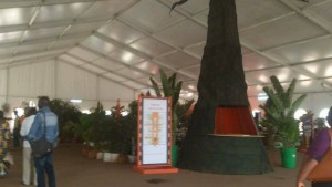 Burkina Faso: La Côte d'Ivoire en miniature au Fespaco à  travers le village Akwaba