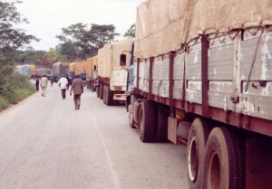 Côte d'Ivoire: Ferkéssédougou, 122 millions de noix de cajou interceptées par la douane en une semaine