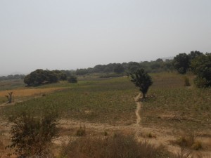 Cameroun: Réforme foncière, l'UE va investir plus de 2 milliards FCFA sur 5 ans pour le projet «Landcam»