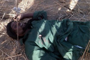 Niger: Boko Haram fait 291 morts et 143 blessés en deux ans