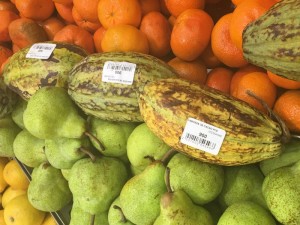 Côte d'Ivoire: Cacao, une baisse significative du  kilo qui passe à  700 FCFA pour la campagne intermédiaire