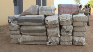 Burkina Faso: Près de 2 tonnes de drogue saisis à  Nako