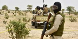 Niger: Une patrouille tombe dans une embuscade de Boko Haram, un mort et 11 blessés