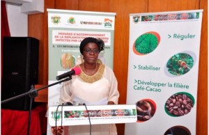 Côte d'Ivoire: Café-cacao, voici les dispositions prises pour la campagne intermédiaire