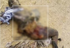 Cameroun: Deux kamikazes tués après explosion de leurs charges à  Mora