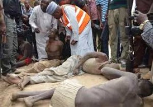 Niger: Une cinquantaine de Boko Haram dont un émir, abattus près de Gueskérou