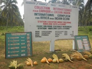 Côte d'Ivoire: Port-Bouët, la station Marc Delorme vendue à  des opérateurs économiques qui menacent de la détruire