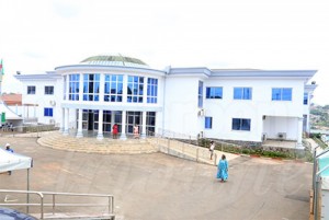 Cameroun: A soixante ans, elle donne naissance à  des jumelles