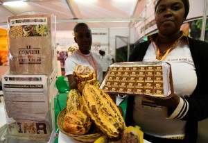 Côte d'Ivoire: Café-Cacao, un syndicat salue les actions du Conseil en faveur de ses membres
