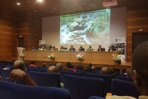 Côte d'Ivoire: SAPH confirme sa bonne forme, déjà  +245% de résultat net au premier trimestre 2017