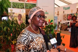 Côte d'Ivoire: Le Conseil Café-Cacao et l'Etat traduits en justice, l'affaire renvoyée au 16 mai prochain, la loi des «acheteurs» à  Guiberoua