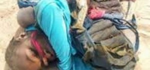 Nigeria: Deux éleveurs tués par des femmes kamikazes  près de Maiduguri