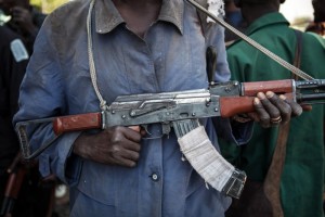 Nigeria:  Boko Haram tue six miliciens dans le nord -est