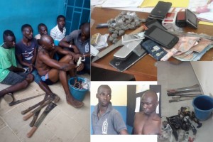 Côte d'Ivoire: Opération épervier 3, démantèlement de fumoirs et arrestations à  Tiassalé et N'Douci