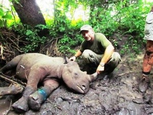 Rwanda: Un défenseur des animaux tué par un rhinocéros  dans un parc