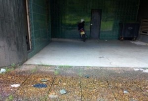 Côte d'Ivoire: Tortiya, un gendarme perd l'usage d'une jambe à  la suite d'un accident de moto