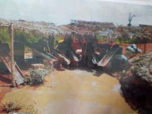 Côte d'Ivoire: Tengrela, les orpailleurs sommés de se soumettre aux lois en vigueur