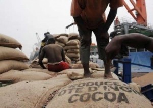 Côte d'Ivoire: Café-cacao, ouverture des demandes des projets de certification au titre de la campagne 2017-2018, à  compter du 12 juillet 2017