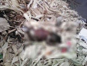 Côte d'Ivoire : Yopougon, le corps d'un bébé en putréfaction découvert dans les ordures