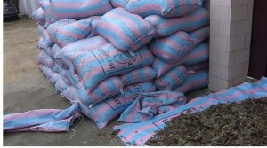 Côte d'Ivoire: Huit trafiquants majeurs arrêtés avec 3000kg d'écailles de pangolins