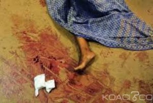 Cameroun: Au moins 10 morts dans un double attentat suicide attribué à  Boko Haram