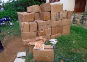 Burkina Faso: Plus de 84 000 œufs en provenance de la Côte d'ivoire saisis à  Diébougou