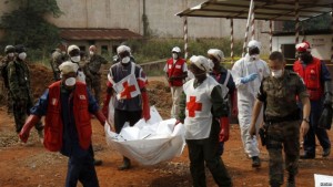 Centrafrique: Gambo, trois humanitaires  tués dans des combats entre groupes armés