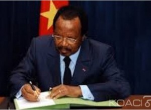 Cameroun: CAN Total 2019, le comité local d'organisation  est créé