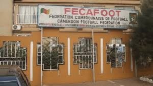 Cameroun: Football, la Fifa crée un comité de normalisation pour la Fecafoot