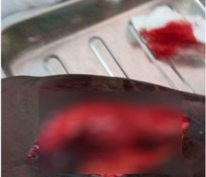 Côte d'Ivoire: Daloa, affaire gendarme tabassé dans le village de Dogbo Blé, voici la vraie version des faits