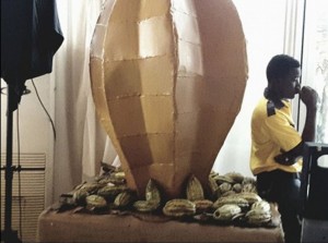 Côte d'Ivoire: Café-Cacao, le prix minimum d'achat garanti connu dimanche