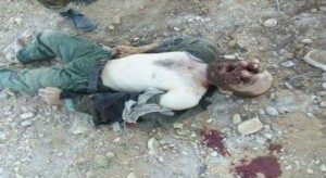 Algérie:  Cinq terroristes abattus par l'armée à  l' est d' Alger