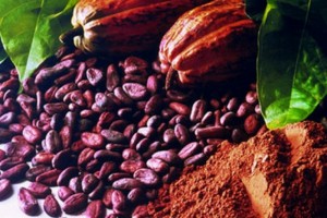 Ghana-Côte d'Ivoire: Akufo-Addo annonce une politique commune pour la vente du cacao sur le marché international