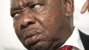 Afrique du  Sud: Zuma débarque de son gouvernement  un ministre trop critique