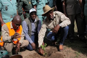 Côte d'Ivoire: Sodefor, le DG plaide pour un retour au reboisement mécanique