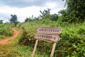 Côte d'Ivoire: Suspecté de vendre son cacao au Ghana, un jeune producteur abattu à  l'est par un militaire, colère et indignation des populations