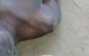 Côte d'Ivoire: Un jeune homme criblé de balles à  Abobo