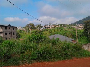 Cameroun:   Ebolowa, trois enfants empoisonnés par leur tante