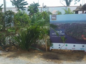 Côte d'Ivoire: SARA, le groupe SIFCA présent avec sa politique zéro déforestation