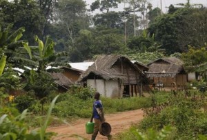 Côte d'Ivoire: Le Gouvernement renonce à  l'expulsion des occupants des emprises des forêts classées