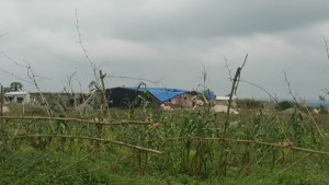 Côte d'Ivoire: Abobo, découverte de deux corps nus tailladés à  la machette