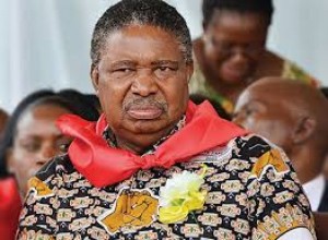 Zimbabwe: L'ex  vice Président Phelekezela Mphoko, soutien de Grace Mugabe de retour au pays