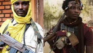 Centrafrique : Au moins 10 morts à  Ippy dans des combats entre factions Séléka et anti-balakas