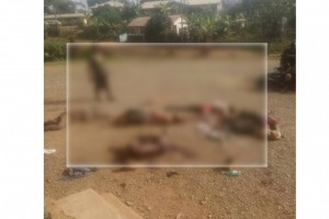 Cameroun: Au moins dix terroristes présumés abattus par l'armée dans des combats