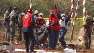 Centrafrique:  Un humanitaire abattu lors d'un braquage à  Kaga Bandoro