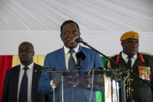Zimbabwe: Mnangagwa appelle la diaspora à  rentrer au  pays, «le passé est passé»