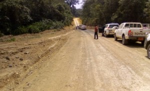 Cameroun-Nigeria: Réouverture sous peu du corridor économique Maiduguri-Mora