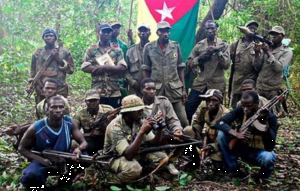 Sénégal: 13 jeunes tués en Casamance, les rebelles du MFDC soupçonnés