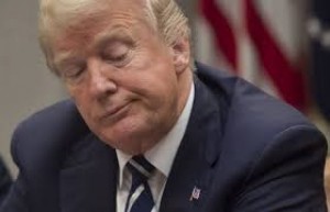 Botswana: «Pays de merde», l'ambassadeur américain convoqué après ces propos  de Donald Trump